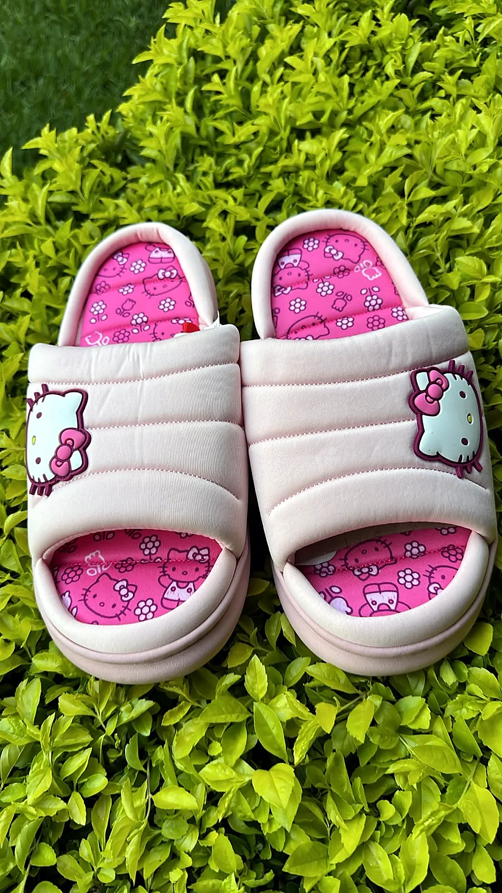 Pantuflas premium Kitty — imagen 1