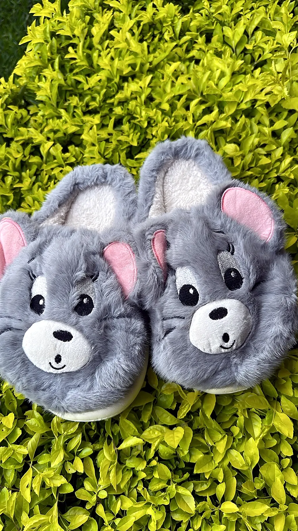 Pantuflas premium Tom — imagen 1