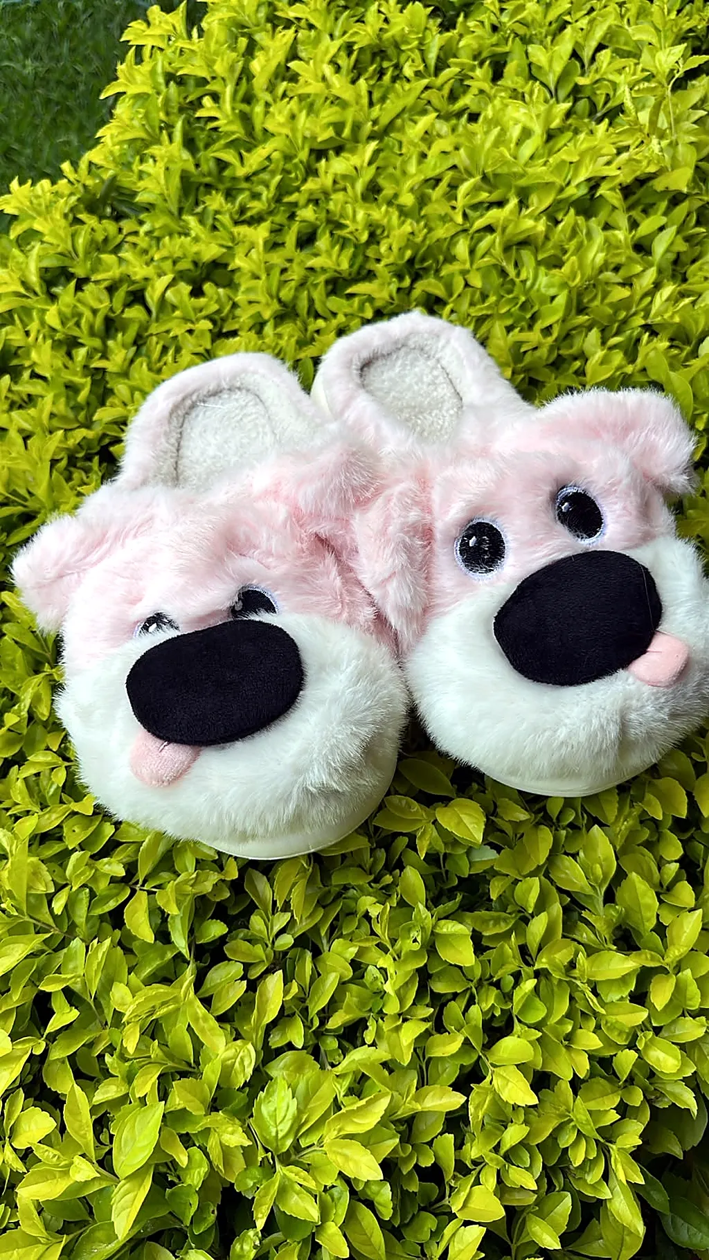 Pantuflas premium Dog Pink — imagen 1