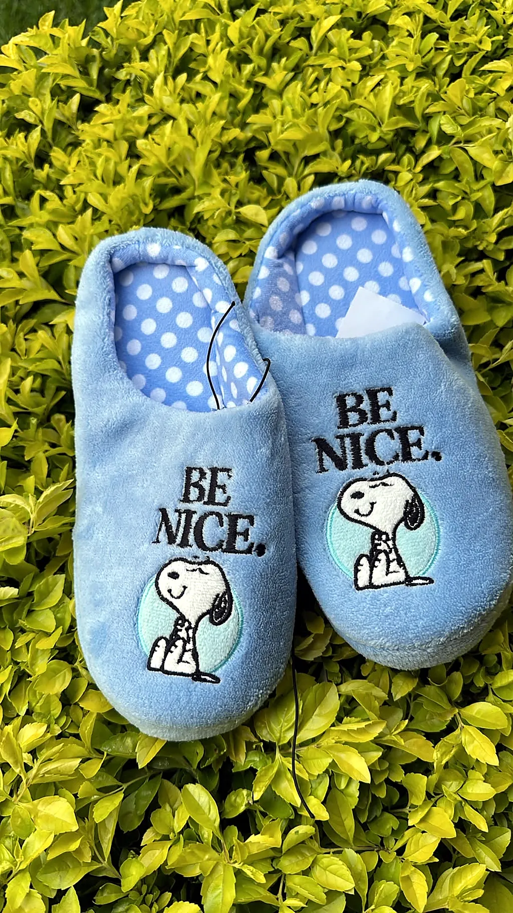 Pantuflas premium Snoopy — imagen 1