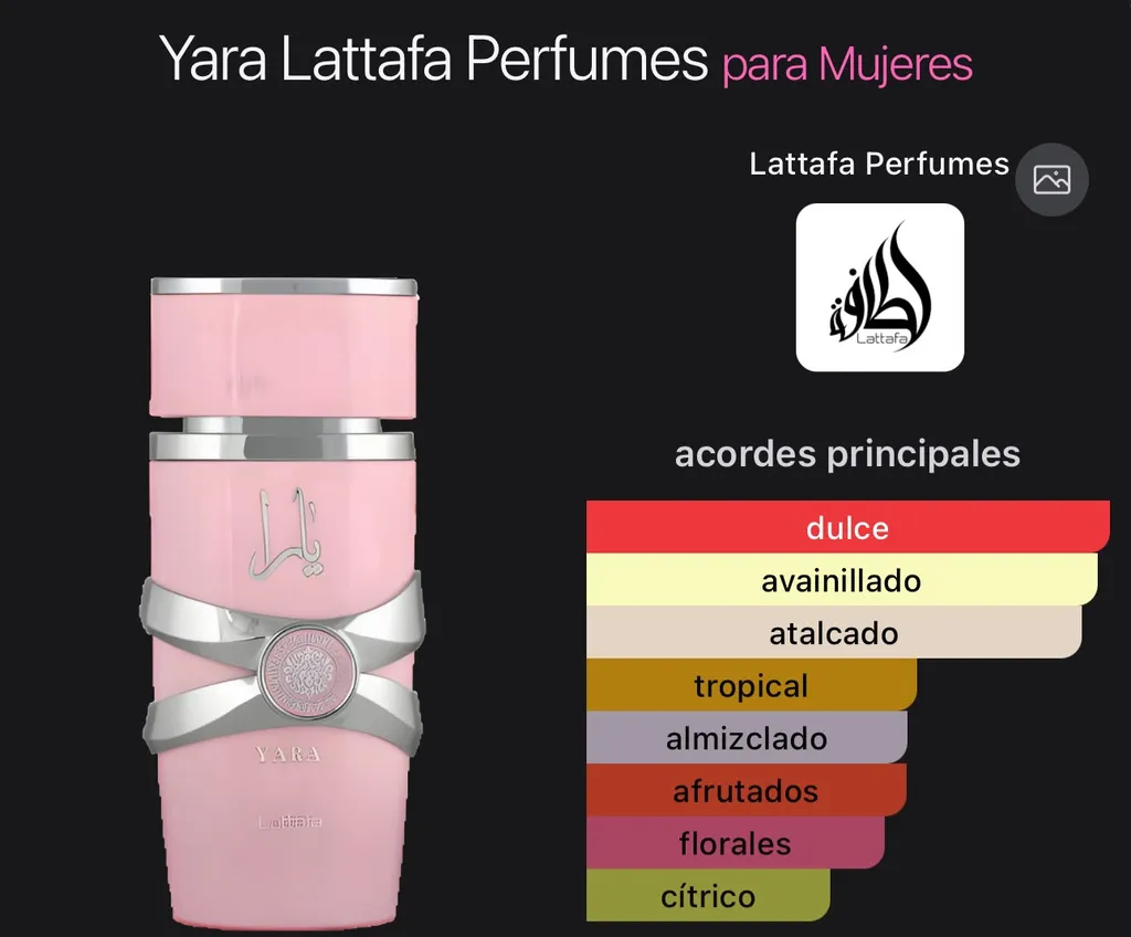 Yara Lattafa — imagen 1