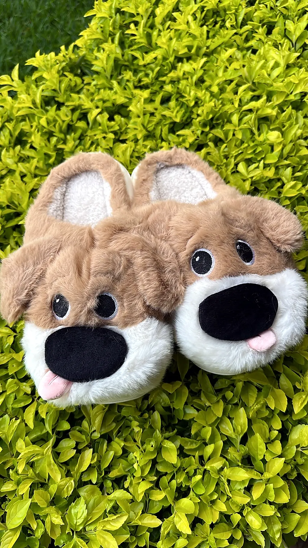 Pantuflas premium Dog coffee — imagen 1