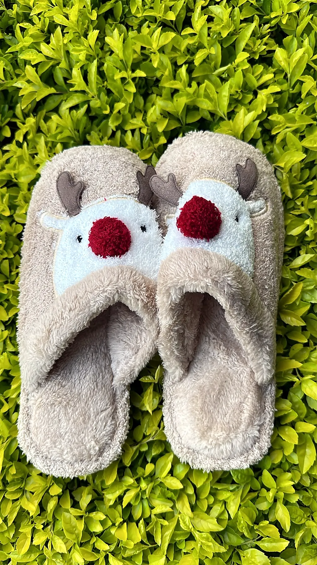 Pantuflas premium reno arena — imagen 1