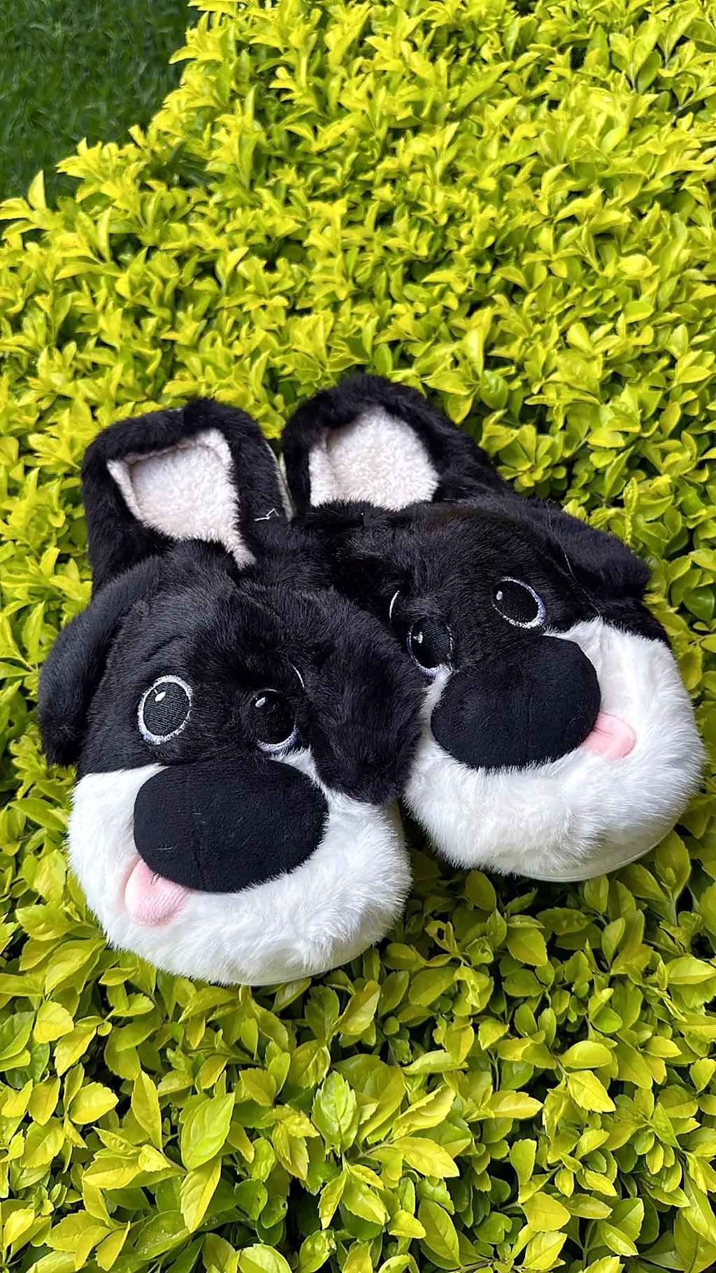 Pantuflas premium Dog Black — imagen 1