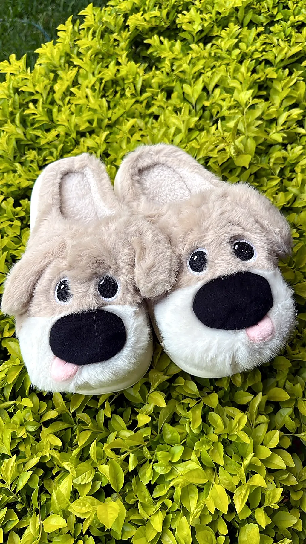 Pantuflas premium Dog arena — imagen 1
