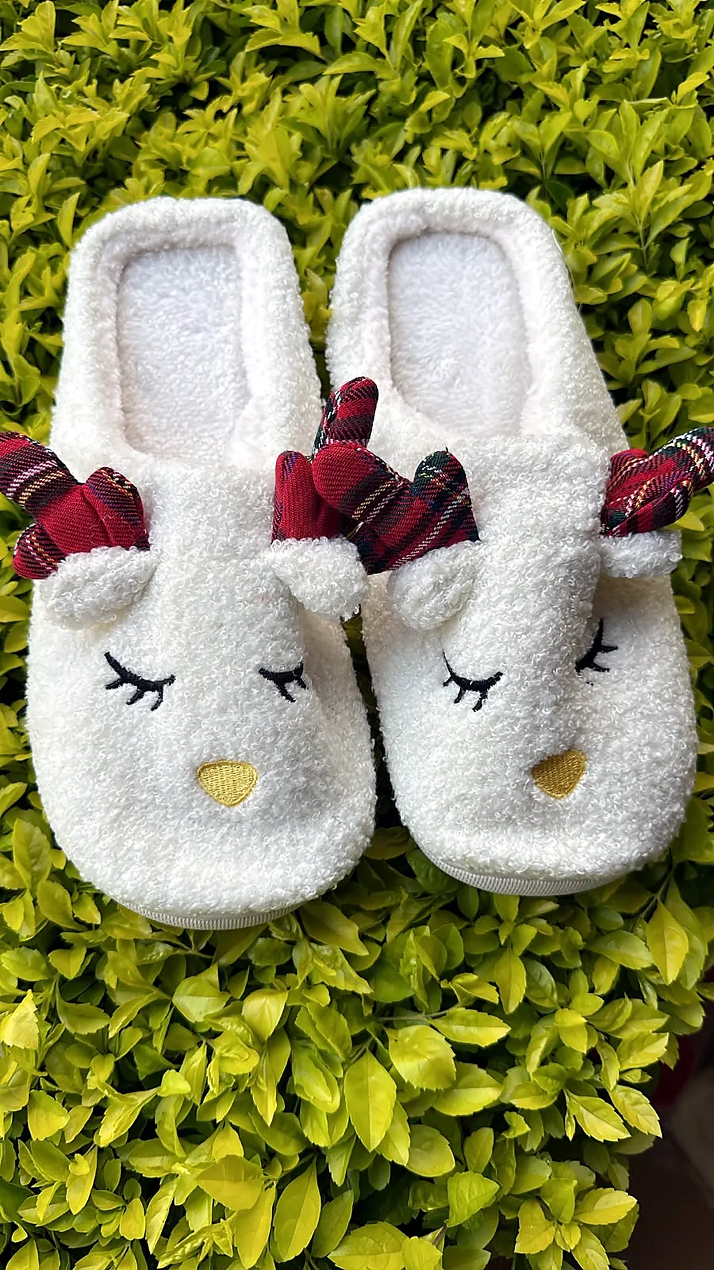 Pantuflas premium reno blanco — imagen 1