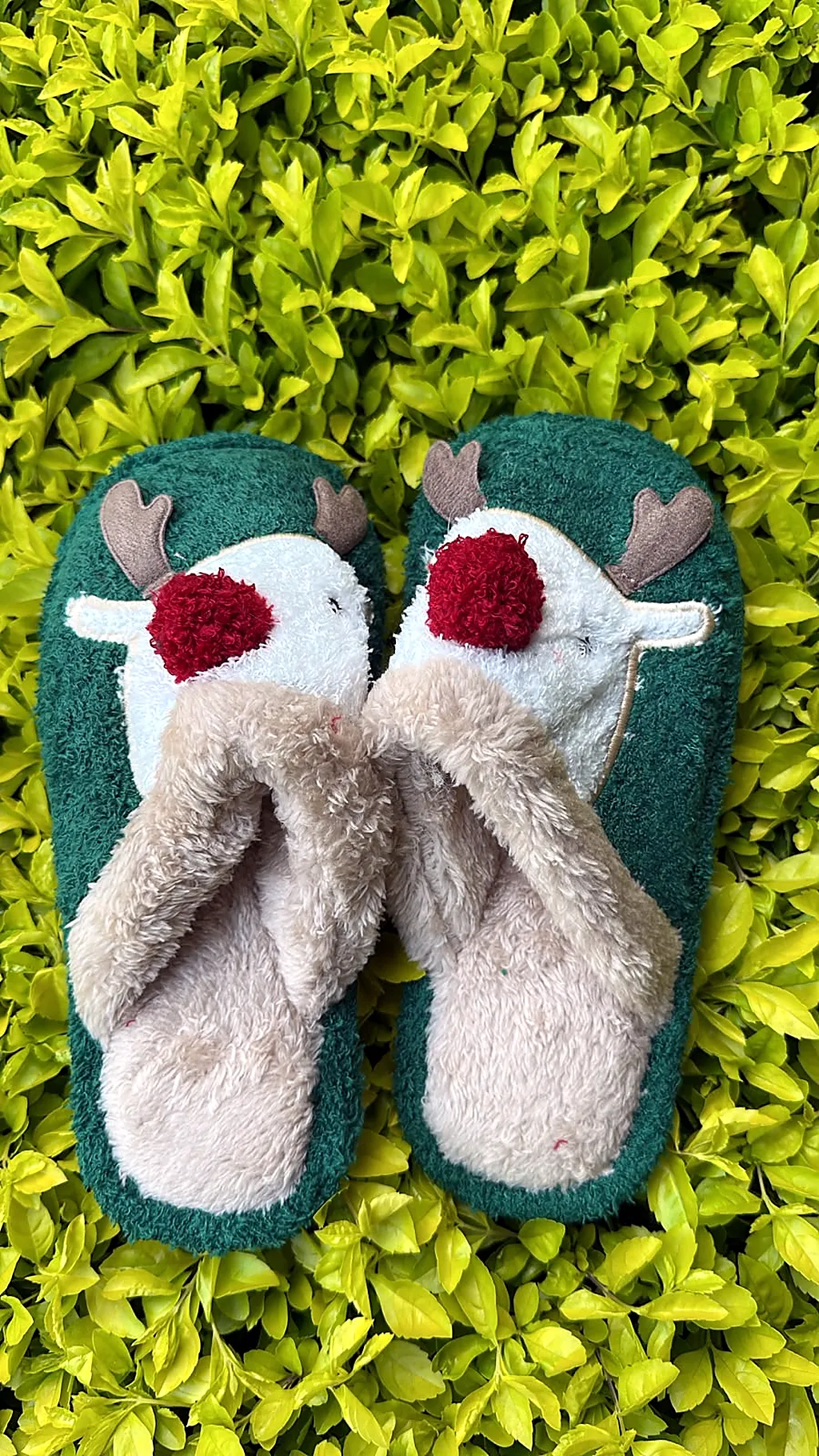 Pantuflas premium reno verde — imagen 1