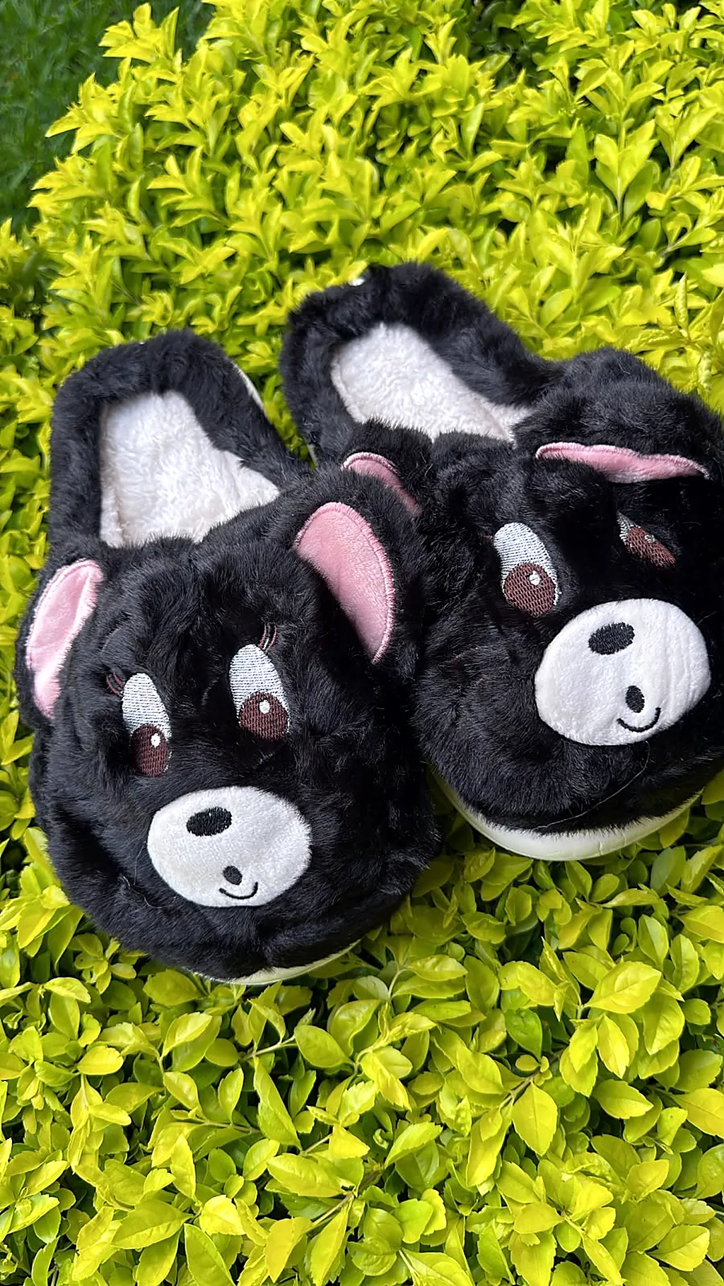 Pantuflas premium Tom Black — imagen 1