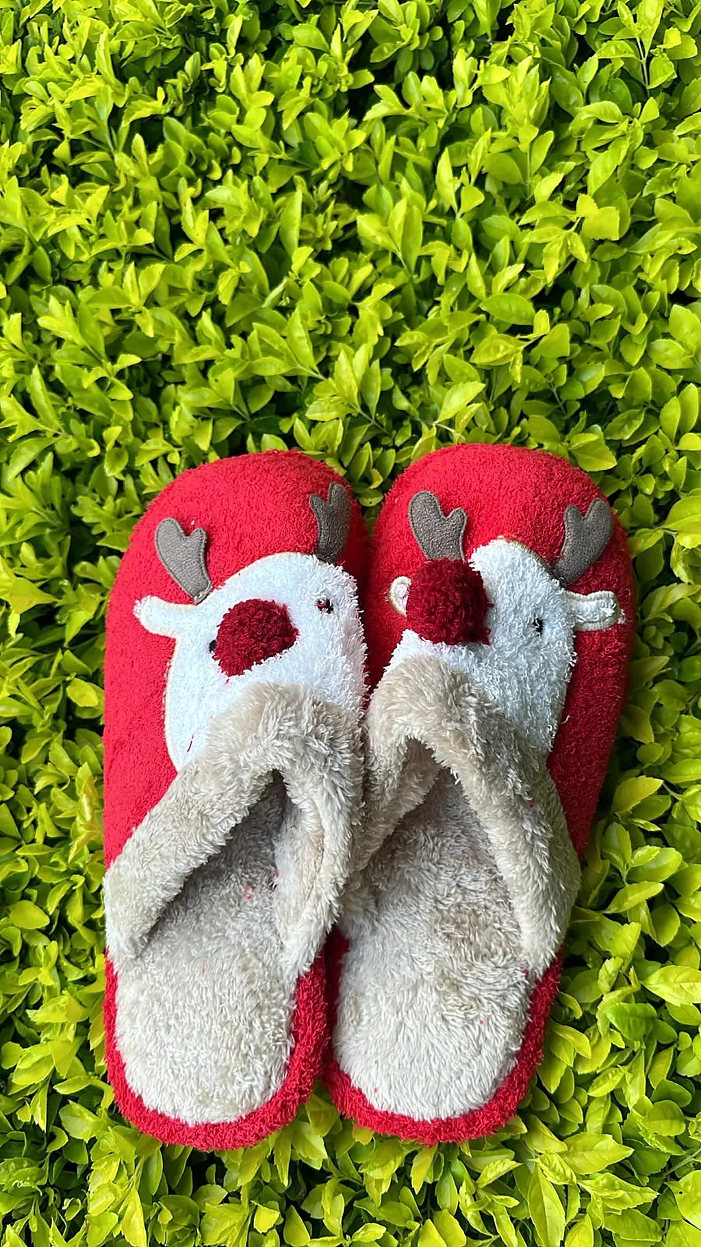 Pantuflas premium reno combinado — imagen 1