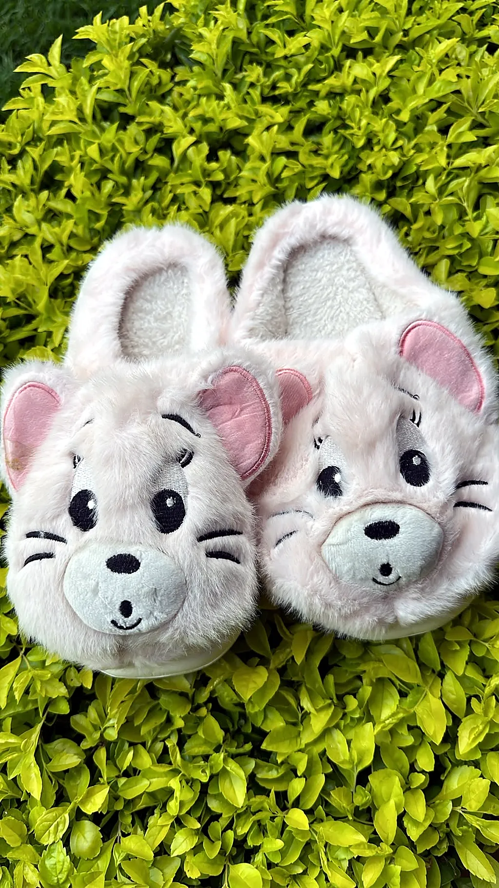 Pantuflas premium Tom Hueso — imagen 1